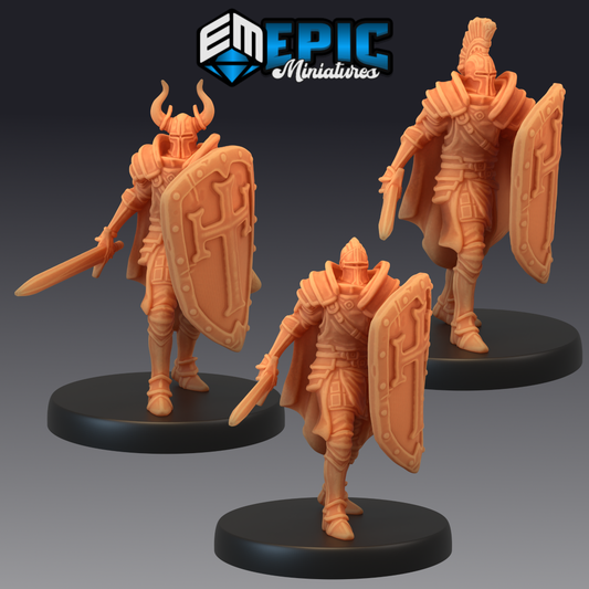 Royal Guards Sword & Shield