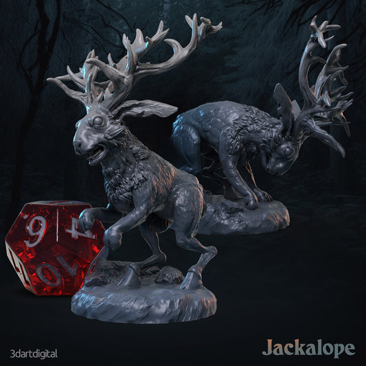 Jackalopes