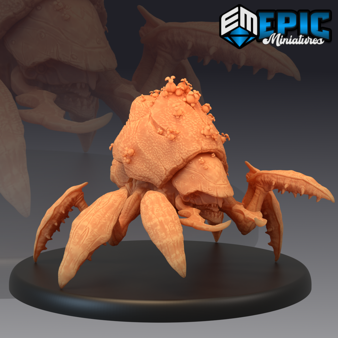 Spore Beetle