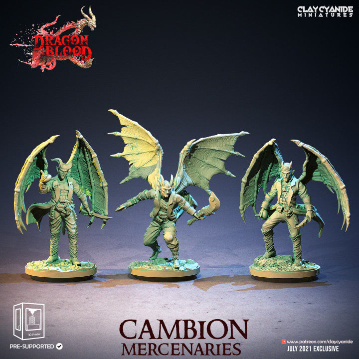 Cambion Mercenaries Bundle