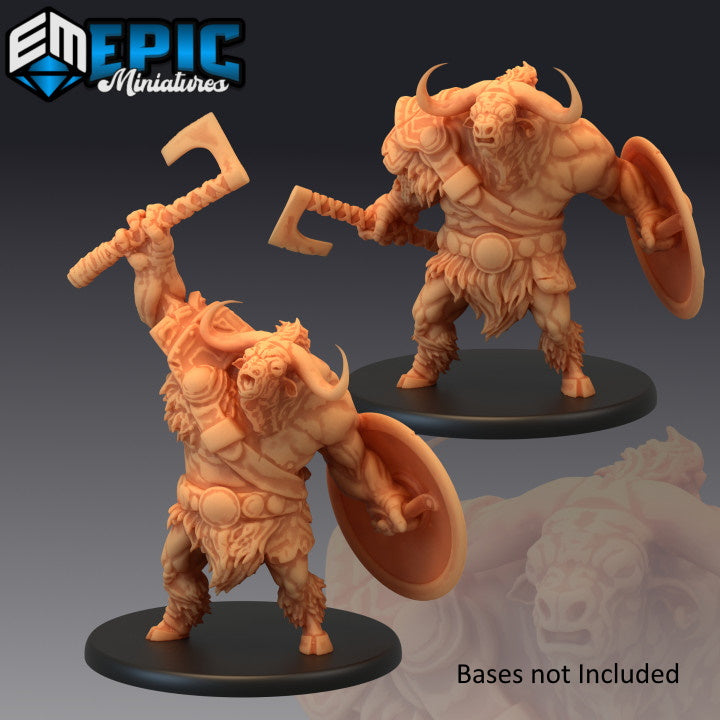 Longhorn Minotaurs