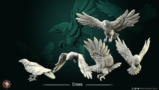 Crows Bundle