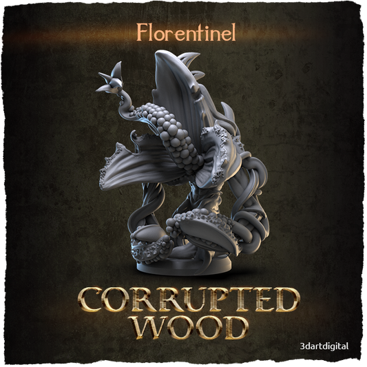 Florentinel, Blooming