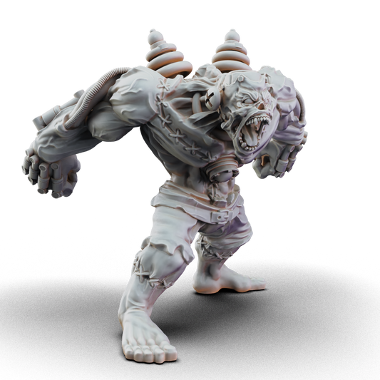 Dr. Frankenstein's Monster