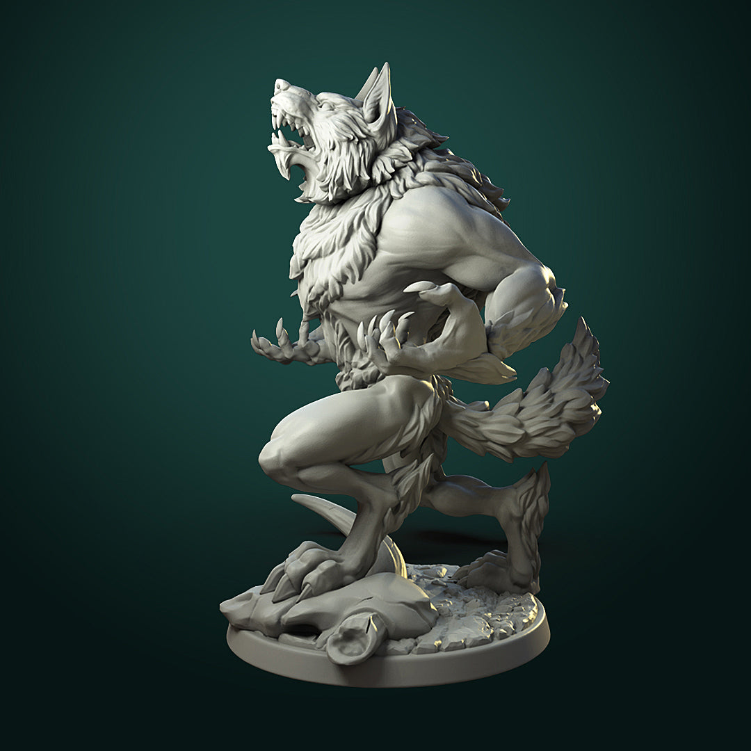 Furious Werewolf Pair