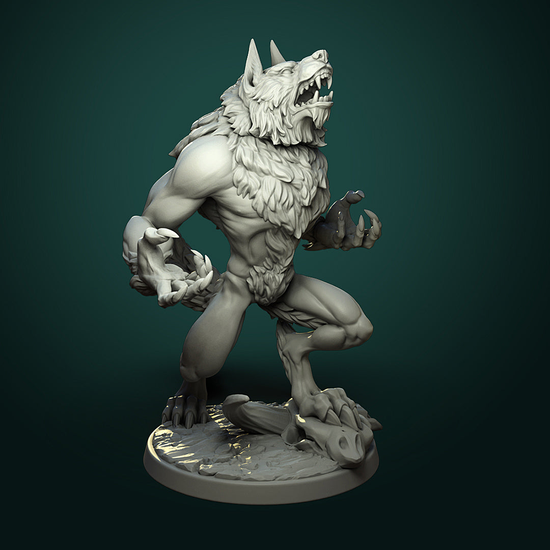 Furious Werewolf Pair
