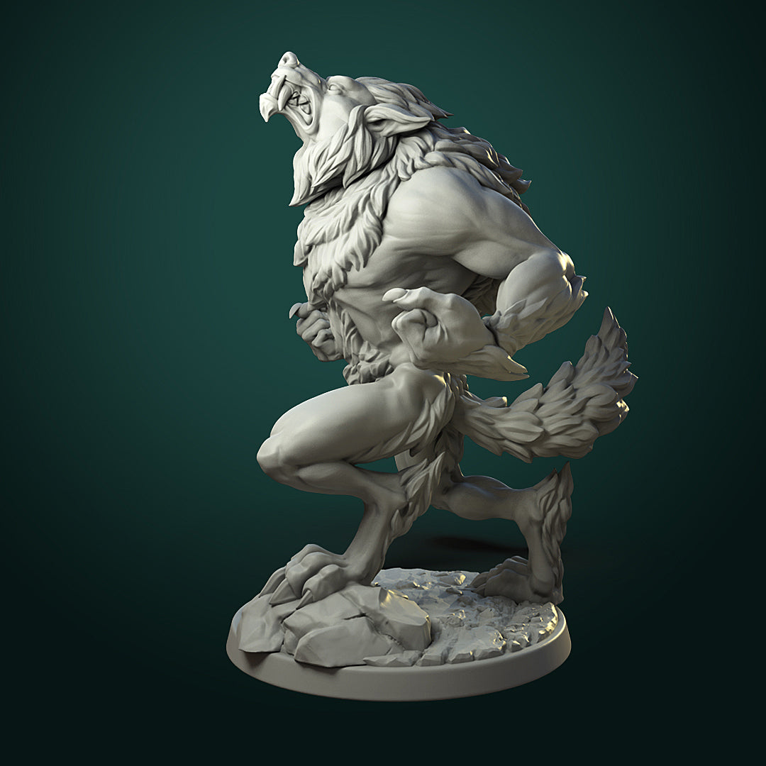 Furious Werewolf Pair
