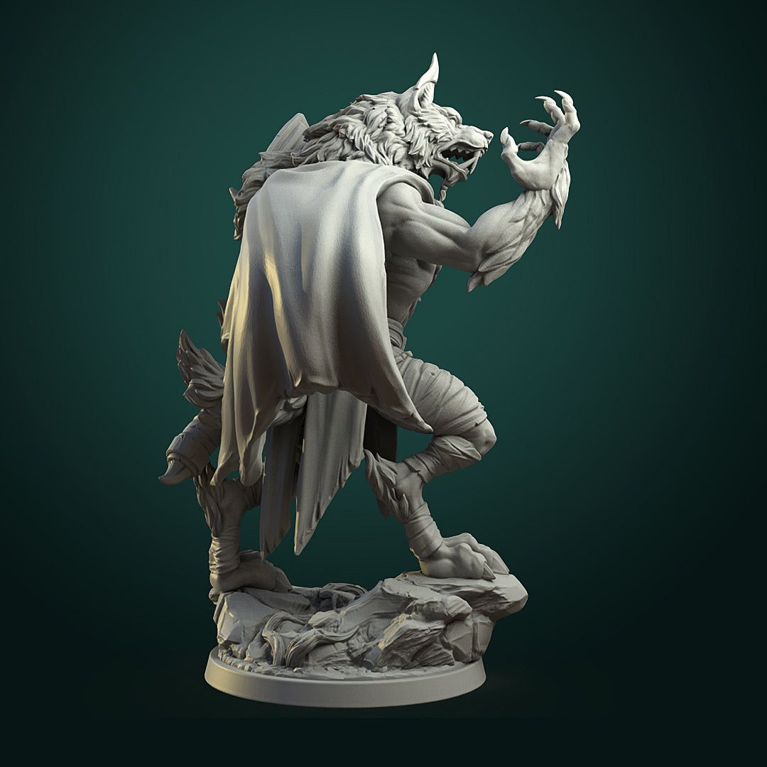 Karash the Forest Shadow