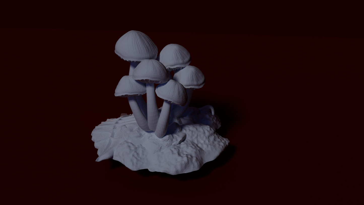 Mushroom, 2