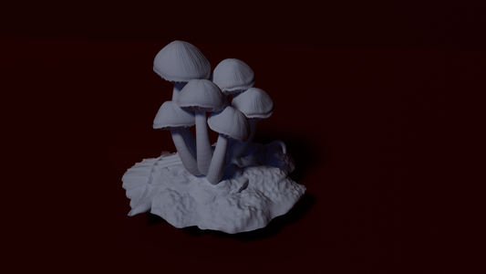 Mushroom, 2