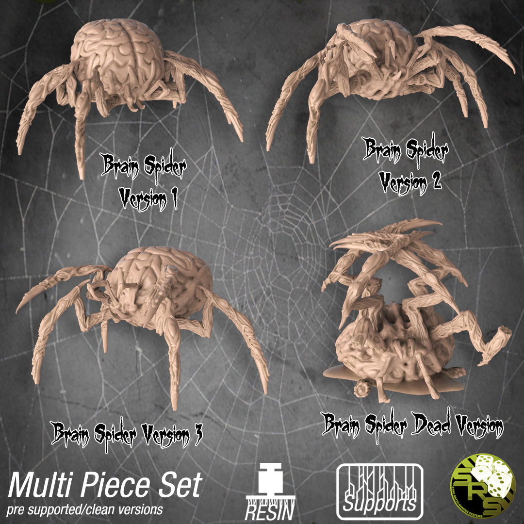 Brain Spider