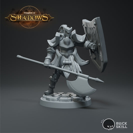 Knight Bedivere Guarding