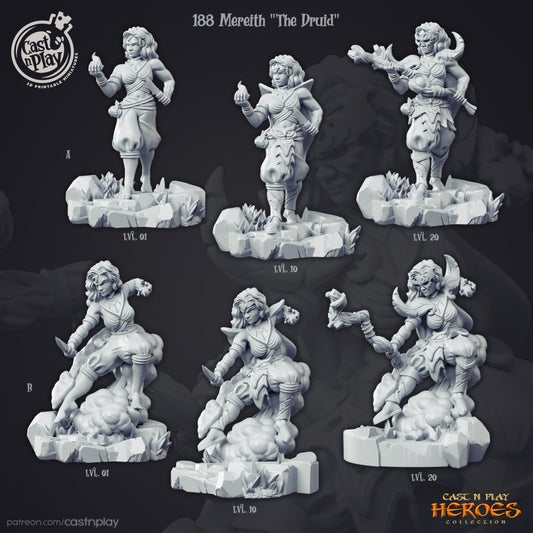 Merelth "The Druid"
