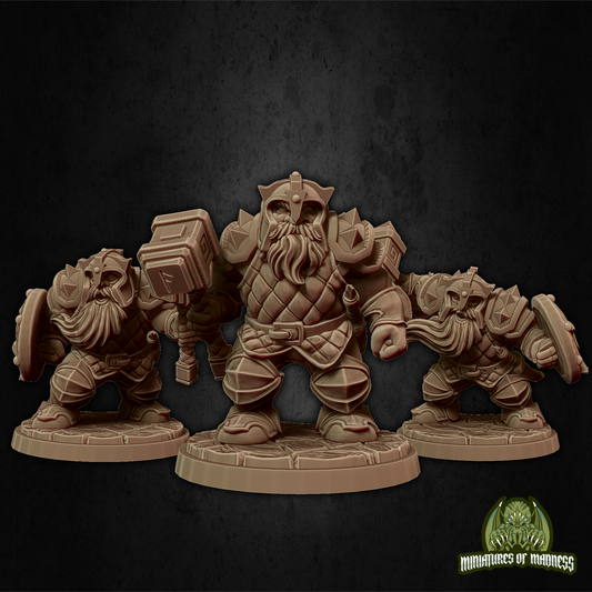 Dwarf Soldier Set 1 With Helmets