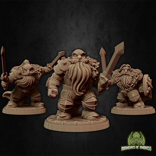 Dwarf Soldier Set 5