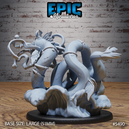 Deep Sea Eel Hypnosis