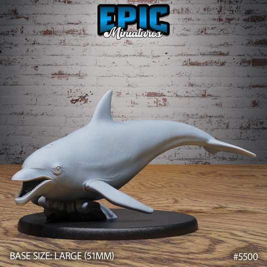 Dolphin