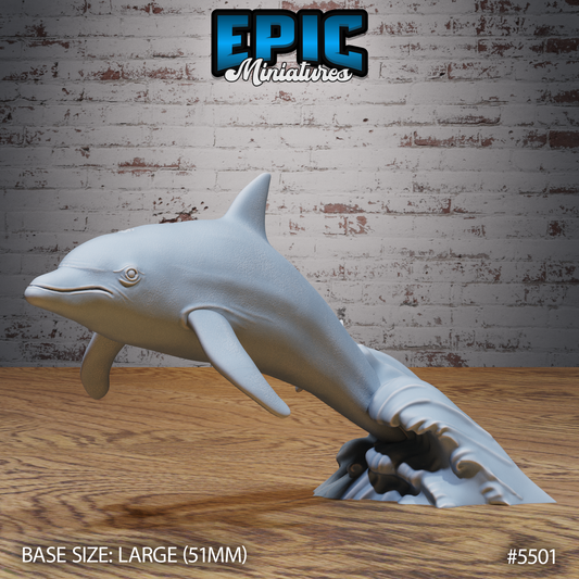 Dolphin Jump