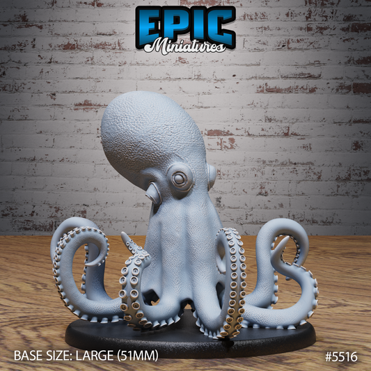 Giant Octopus