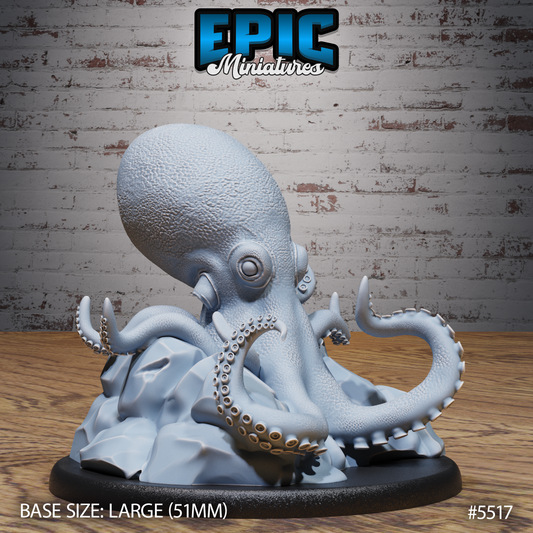 Giant Octopus Nest