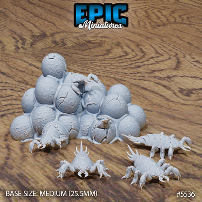 Ankheg Eggs & Hatchling