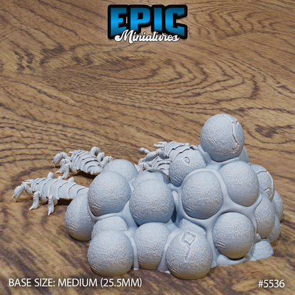 Ankheg Eggs & Hatchling