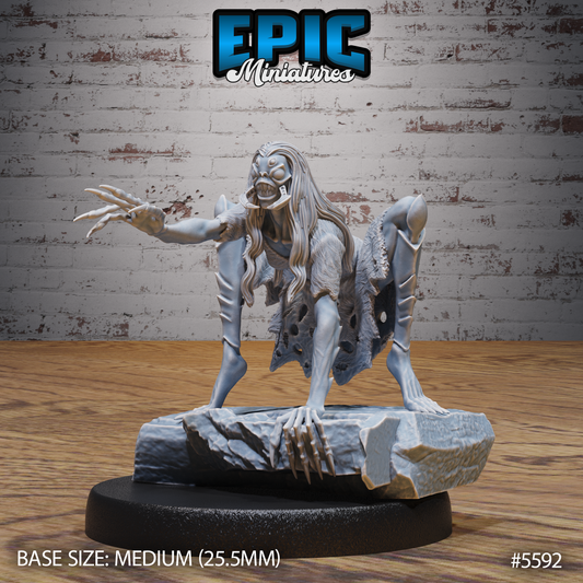 Spider Hag Crawl