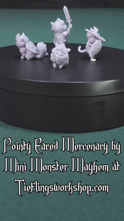 Pointy Eared Mercenary, 30mm