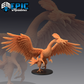 Peacock Griffin Attacking