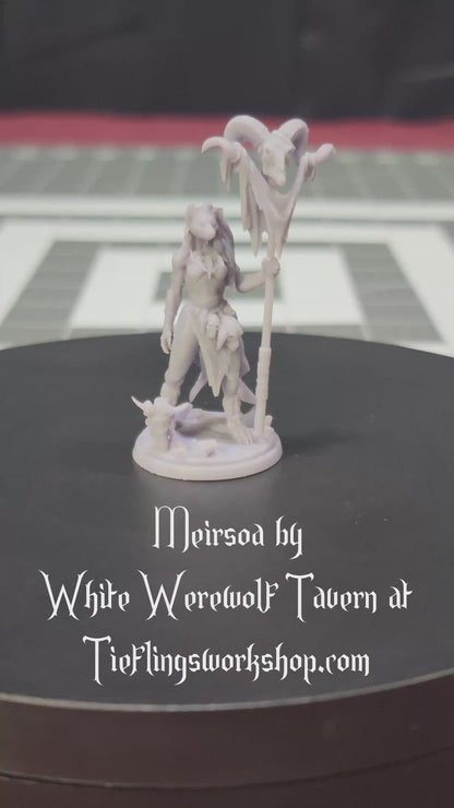 Meirsoa Gnoll Matriarch 32mm