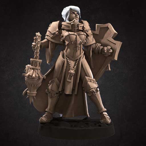 Battle Sister Purifier