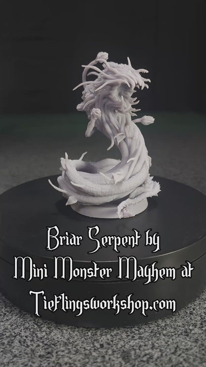 Briar Serpent