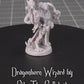 Dragonborn, Wizard