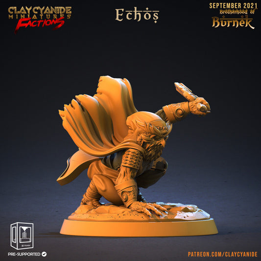 Echos