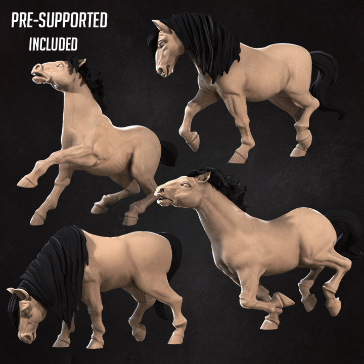 Horses