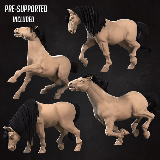 Horses