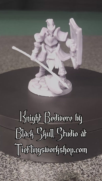 Knight Bedivere Taunting