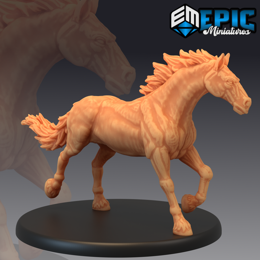 Wild Horse Standing