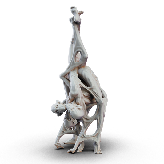 Contortionist