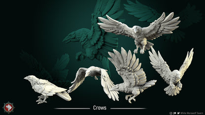 Crows Bundle