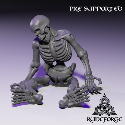 Dead Skeleton Bundle