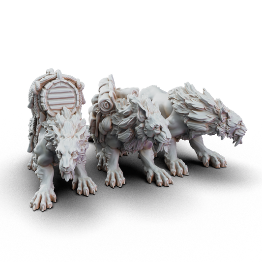 Pack Cats Bundle