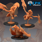 Shantak Set