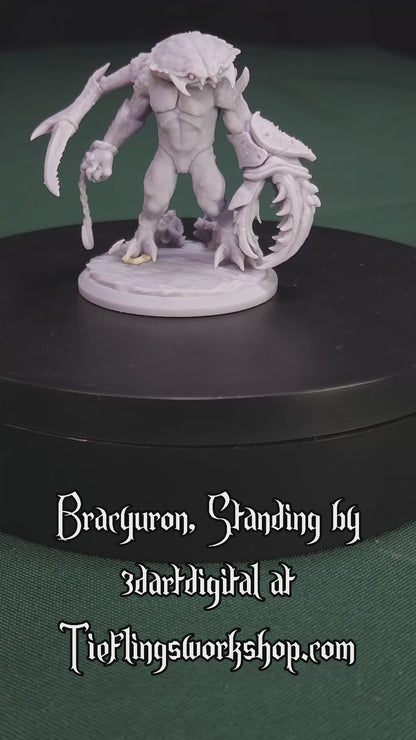 Bracyuron, standing