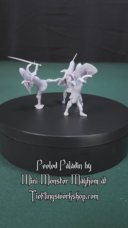 Peeled Paladin