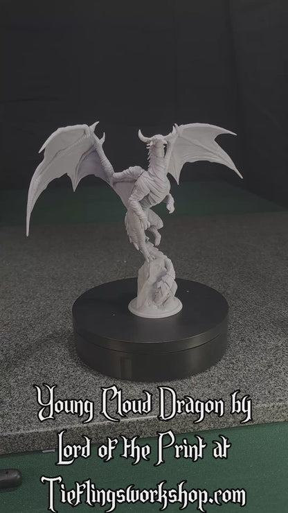 Young Cloud Dragon