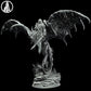 Dragon Rider