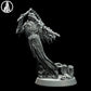 Plague Wraith Attacking