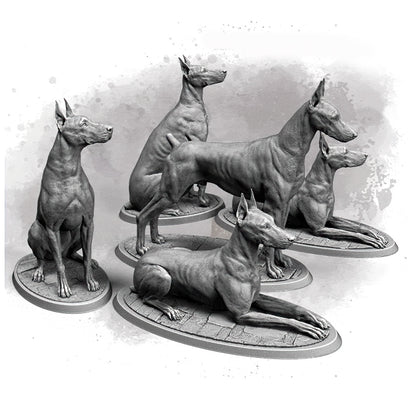 Doberman, 75mm