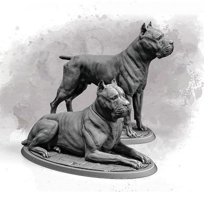 Cane Corso, 75mm